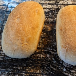Sourdough Bread with Discard